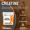 BULKSUPPLEMENTS.COM Creatine Monohydrate Powder - 5g (5000mg) of Micronized Creatine Powder per Serving, Creatine Pre Workout, Creatine for Building Muscle, Creatine Monohydrate 500g (1.1 lbs)