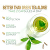 Green Tea Extract Pills - 98% Standardized EGCG 1300mg for Natural Extra Strength Energy - Supports Antioxidant & Heart Health - Herbal & Immune Support with Polyphenols - Max Potency - 120 Capsules