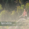 PURE ORIGINAL INGREDIENTS Spirulina Superfood, Rich in Phycocyanin, 100% Pure