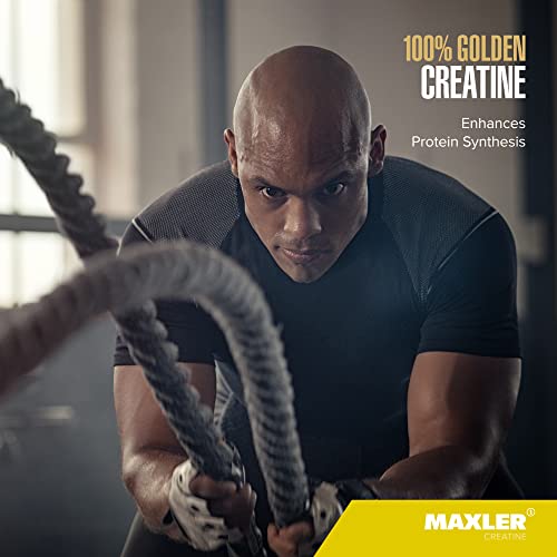 Maxler 100% Golden Creatine - Micronized Creatine Monohydrate Powder - Muscle Building Supplements - Pre/Post Workout Vegan Supplement - Gluten Free Unflavored Creatine Powder - 300 g