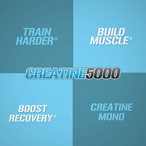 Evlution Pure Creatine Monohidrato en polvo 5000 mg Nutrición Pre y Post Entrenamiento Recuperación Bebida Mezcla Creatina en polvo para mejorar la masa muscular Rendimiento atlético y recuperación muscular - Sin sabor