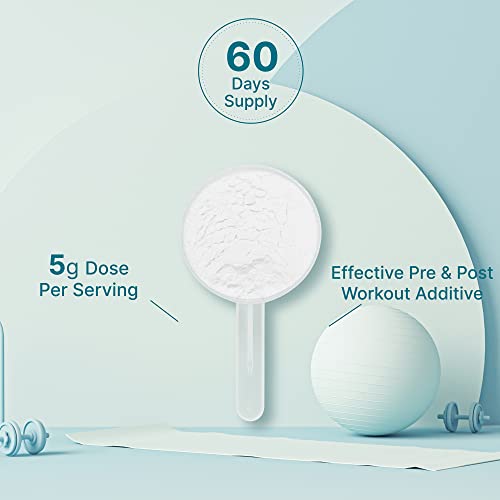 Monohidrato de creatina en polvo 300 gramos (60 porciones), sin sabor | Puro | Creatina en polvo micronizada, 5000 mg (5 g) por porción, suministro para 2 meses, vegano | Keto, sin OGM, sin relleno, sin aditivos
