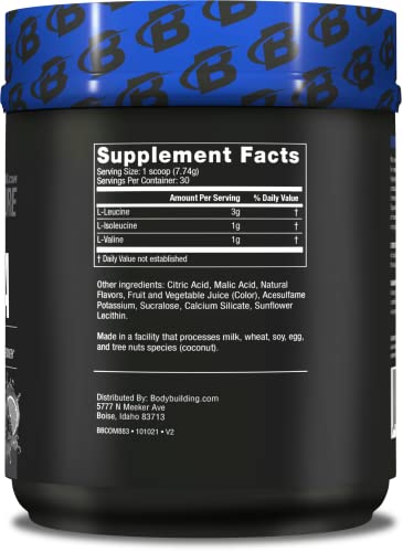 Bodybuilding Signature BCAA Powder | Essential Amino Acids | Nutrition Supplement | Promote Muscle Growth and Recovery | 30 Servings (BlackBerry Lime)