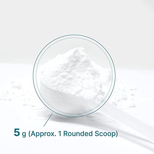 Monohidrato de creatina en polvo 300 gramos (60 porciones), sin sabor | Puro | Creatina en polvo micronizada, 5000 mg (5 g) por porción, suministro para 2 meses, vegano | Keto, sin OGM, sin relleno, sin aditivos