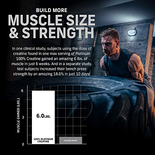 Creatine Monohydrate Powder | MuscleTech Platinum | Pure Micronized | Muscle Recovery + Builder for Men & Women | Workout Supplements | Unflavored (80 Servings)