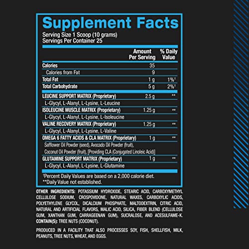 BPI Sports Best Aminos - BCAA Powder Post Workout & Glutamine Recovery Drink with Branched Chain Amino Acids for Hydration & Recovery, for Men & Women - Fruit Punch - 25 Servings