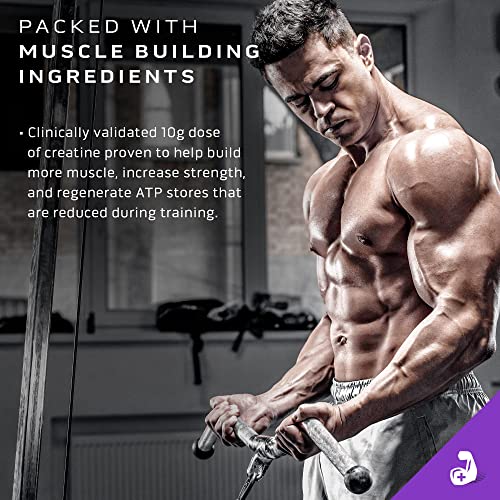 MuscleTech Mass Gainer Mass-Tech Extreme 2000, Muscle Builder Whey Protein Powder, Protein + Creatine + Carbs, Max-Protein Weight Gainer for Women & Men, Vanilla Milkshake, 6lbs (Packaging May Vary)