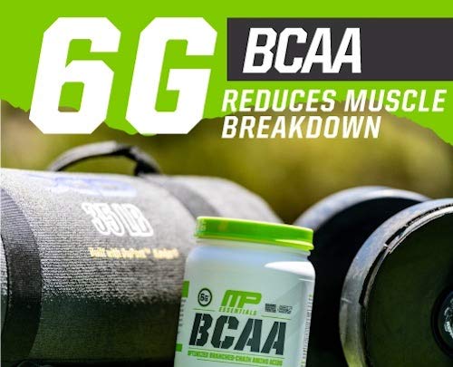Muscle Pharm Essentials BCAA en polvo, bebida de recuperación post-entrenamiento, ponche de frutas, 30 porciones