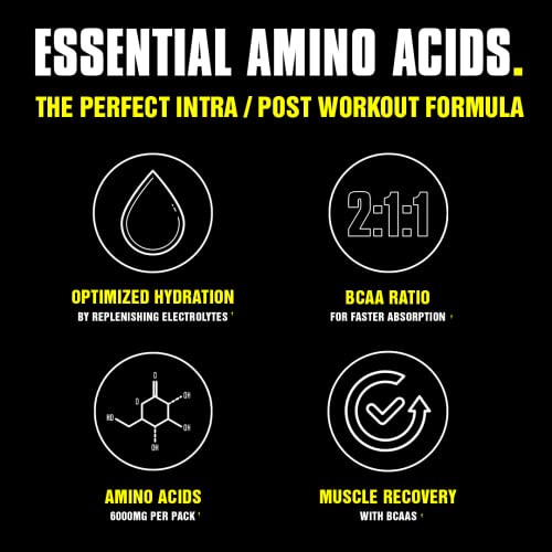 Aminos en jugo de animales - 6 g de matriz BCAA/EAA más 4 g de mezcla de aminoácidos para recuperación y rendimiento mejorado - Naranja - 30 porciones, 13,3 onzas