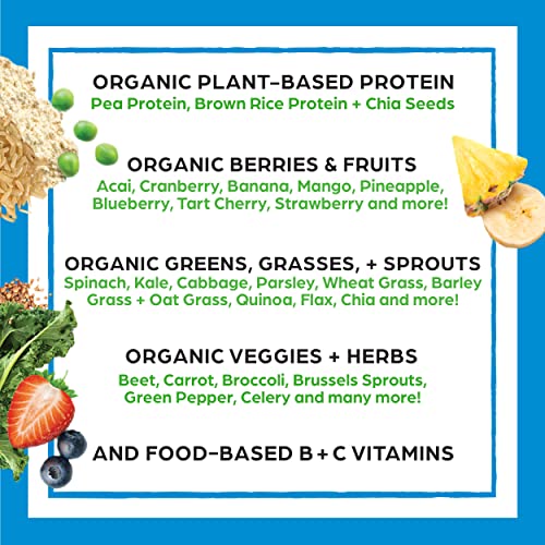 Orgain Proteína vegana orgánica en polvo + 50 superalimentos, dulce de chocolate cremoso - 21 g de proteína a base de plantas, sin gluten, sin lácteos, sin lactosa, sin soja, sin azúcar añadido, kosher, vitaminas B - 2,02 lb