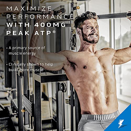 Polvo de creatina | MuscleTech Cell-Tech Elite Creatina en polvo | Bebida de recuperación post-entrenamiento | Constructor de músculos para hombres y mujeres | Suplemento de creatina HCl | Explosión de cereza (20 porciones)