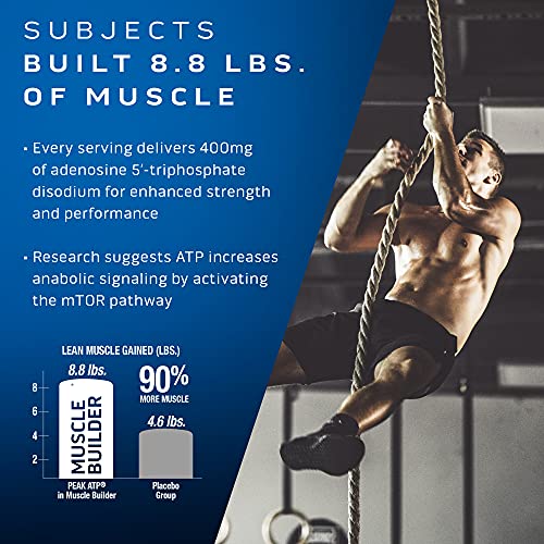 Muscle Builder | MuscleTech Muscle Builder | Muscle Building Supplements for Men & Women | Nitric Oxide Booster | Muscle Gainer Workout Supplement | 400mg of Peak ATP for Enhanced Strength, 30 Pills