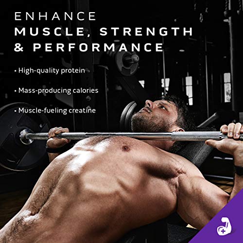 Mass Gainer MuscleTech 100% Proteína en polvo Gainer Mass Gainer Proteína en polvo para ganar músculo Proteína de suero + Constructor muscular Proteína en polvo para ganar peso Suplementos de creatina Chocolate, 5.15 lbs