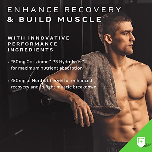 Proteína de rendimiento a base de plantas MuscleTech Platinum Proteína de rendimiento a base de plantas en polvo 25 g de proteína 5 fuentes de proteínas vegetales Vainilla 20 porciones