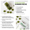 Sunfood Superfoods Super Greens Powder, Organic Green Juice/Smoothie Mix w/Digestive Enzymes & Probiotic for Gut Health, Good Source of Liquid Chlorophyll, Spirulina & Chlorella, 8 oz, 22 Servings