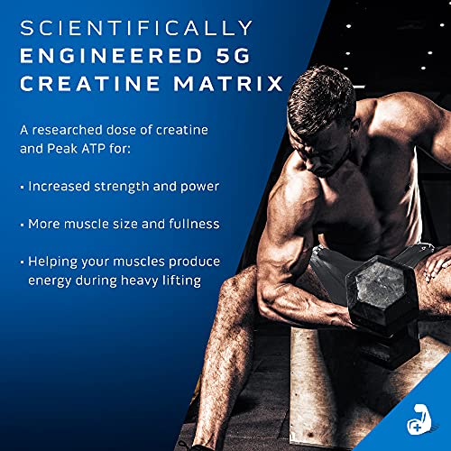 Polvo de creatina | MuscleTech Cell-Tech Elite Creatina en polvo | Bebida de recuperación post-entrenamiento | Constructor de músculos para hombres y mujeres | Suplemento de creatina HCl | Explosión de cereza (20 porciones)