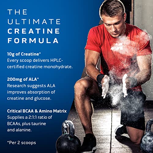 Monohidrato de creatina en polvo MuscleTech Cell-Tech Creatina Bebida de recuperación post-entrenamiento Constructor muscular para hombres y mujeres Suplementos de desarrollo muscular Ponche de frutas, 3 libras (27 porciones)
