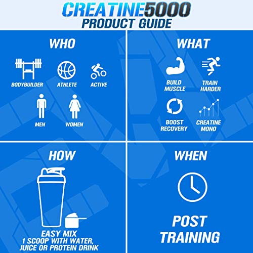 Evlution Pure Creatine Monohidrato en polvo 5000 mg Nutrición Pre y Post Entrenamiento Recuperación Bebida Mezcla Creatina en polvo para mejorar la masa muscular Rendimiento atlético y recuperación muscular - Sin sabor