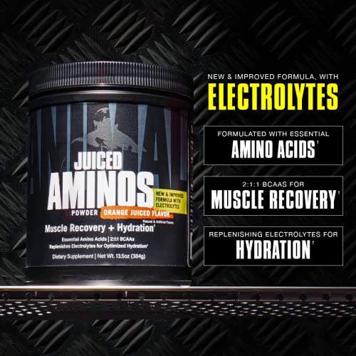 Aminos en jugo de animales - 6 g de matriz BCAA/EAA más 4 g de mezcla de aminoácidos para recuperación y rendimiento mejorado - Naranja - 30 porciones, 13,3 onzas