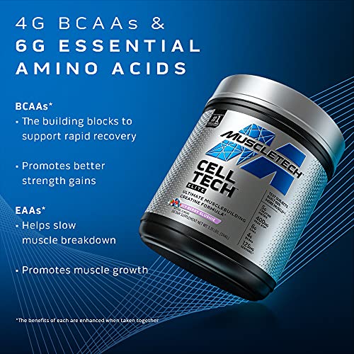 Polvo de creatina | MuscleTech Cell-Tech Elite Creatina en polvo | Bebida de recuperación post-entrenamiento | Constructor de músculos para hombres y mujeres | Suplemento de creatina HCl | Explosión de cereza (20 porciones)