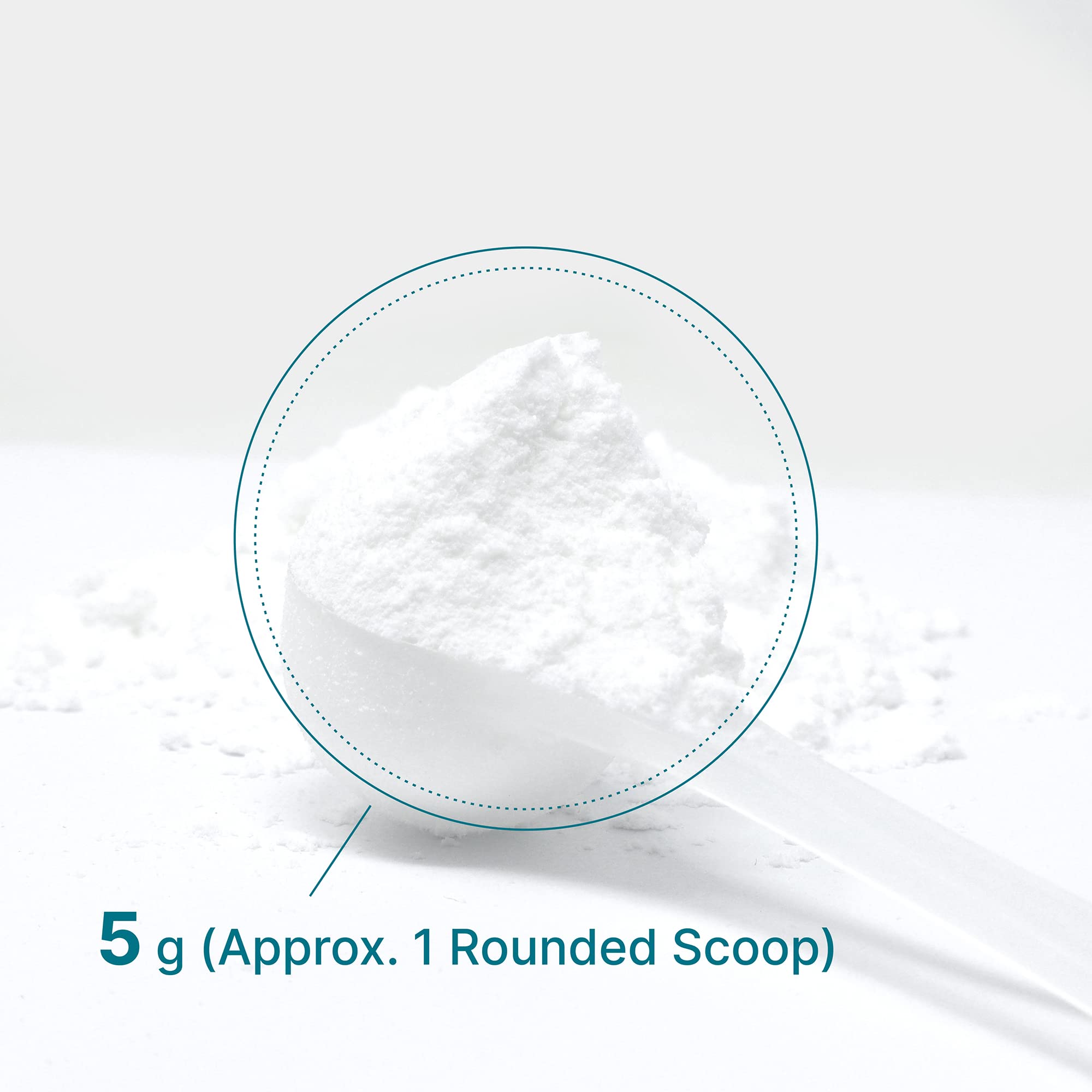 Creatine Monohydrate Powder 300 Grams (60 Servings), Unflavored | Pure | Micronized Creatine Powder, 5000mg(5g) Per Serving, 2 Month Supply, Vegan | Keto, Non-GMO, No Filler, No Additives