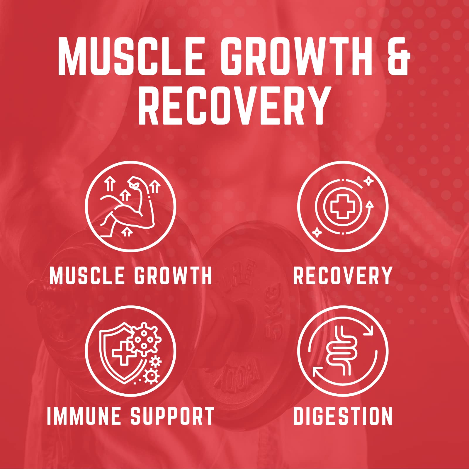 Purus Labs Foundation Series Glutamine | Pure Fermented L Glutamine Powder | for Recovery, Hydration, Volume, & Gut Health | 60 Servings (Unflavored)