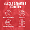 Purus Labs Foundation Series Glutamine | Pure Fermented L Glutamine Powder | for Recovery, Hydration, Volume, & Gut Health | 60 Servings (Unflavored)