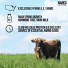 Naked Casein - 1Lb Micellar Casein Protein - Bulk, Gmo-Free, Gluten Free, Soy Free, Preservative Free - Stimulate Muscle Growth - Enhance Recovery - 15 Servings