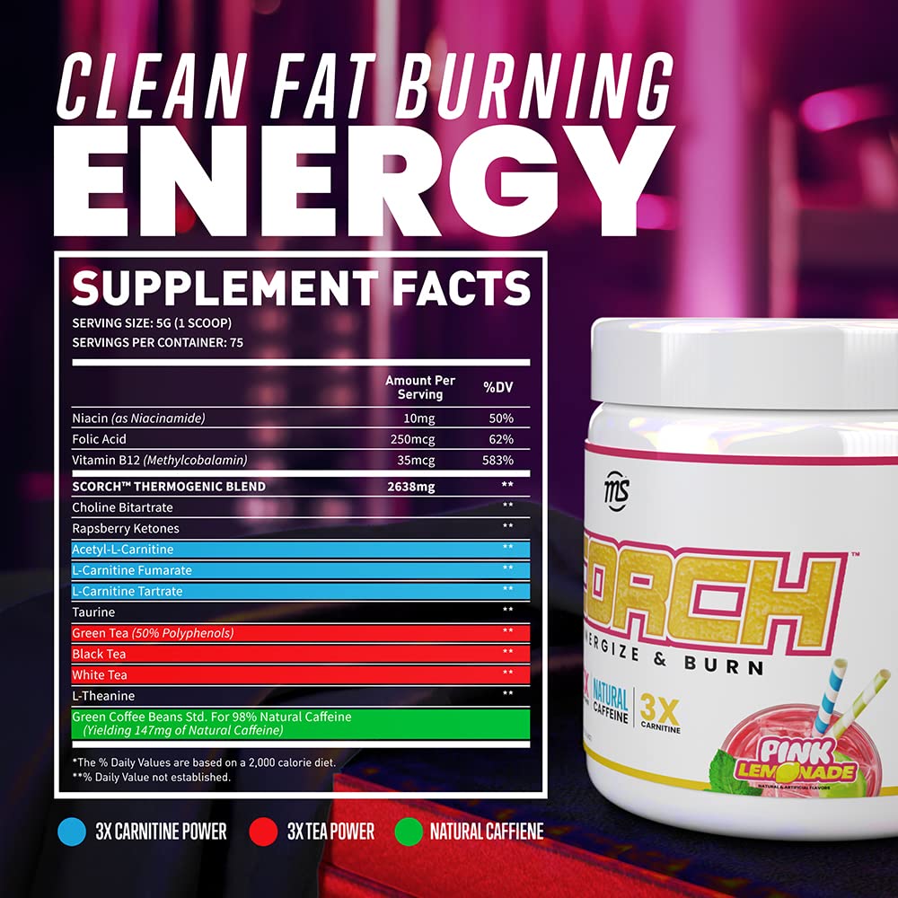 MAN Sports Scorch - Fat Burning Powder for Men and Women - Hunger Suppressant - Weight Loss Supplement - 375 Grams, 75 Servings - Pink Lemonade