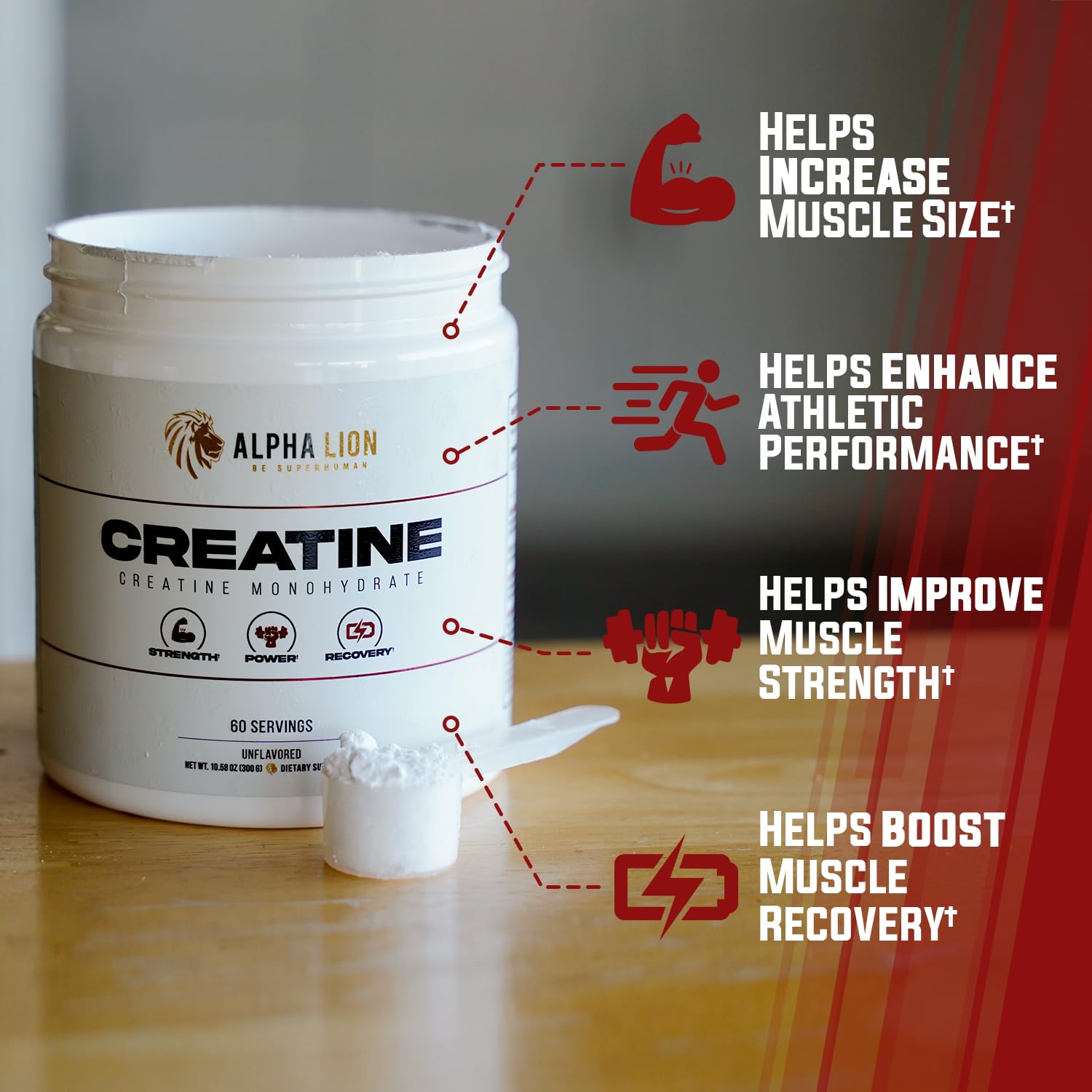 ALPHA LION Creatine Monohydrate Powder, 5000mg Per Serving (5g), Supports Muscle Strength, Power, Athletic Performance, Pure Creatine Supplement (60 Servings, Unflavored)