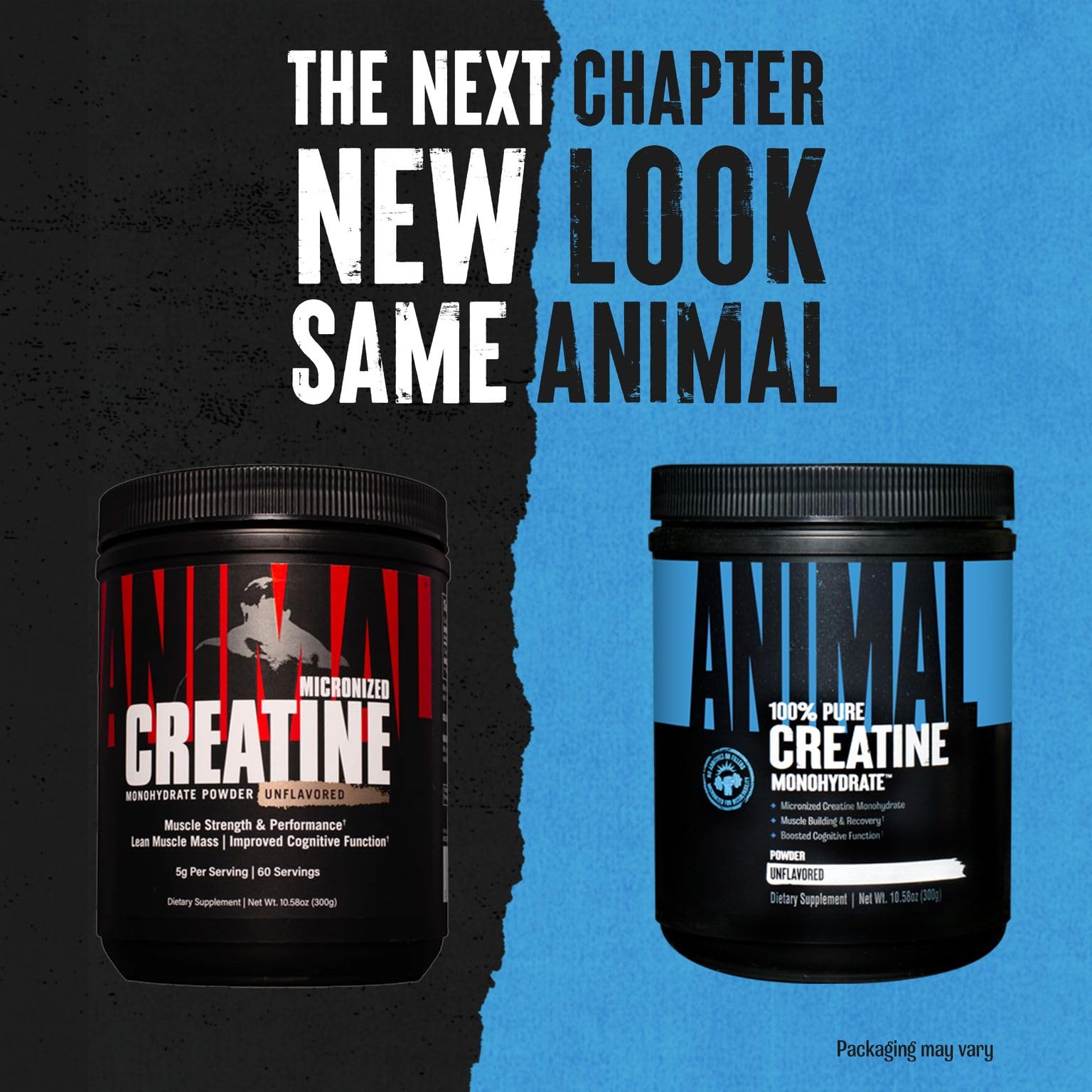 Animal Micronized Creatine Monohydrate Powder - Delays Muscle Fatigue, Supports Muscle Growth, Endurance, ATP Production, Cognitive Function, Strength, and Recovery for Men & Women - Unflavored, 300g
