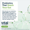 Hyperbiotics Vital Nutrients Pro-15 Pre + Probiotic | 15 Strains| Supports Occasional Constipation, Diarrhea, Gas & Bloating | Immune, Digestive & Gut Health | Shelf-Stable | Vegan | 30 Pearl Tablets