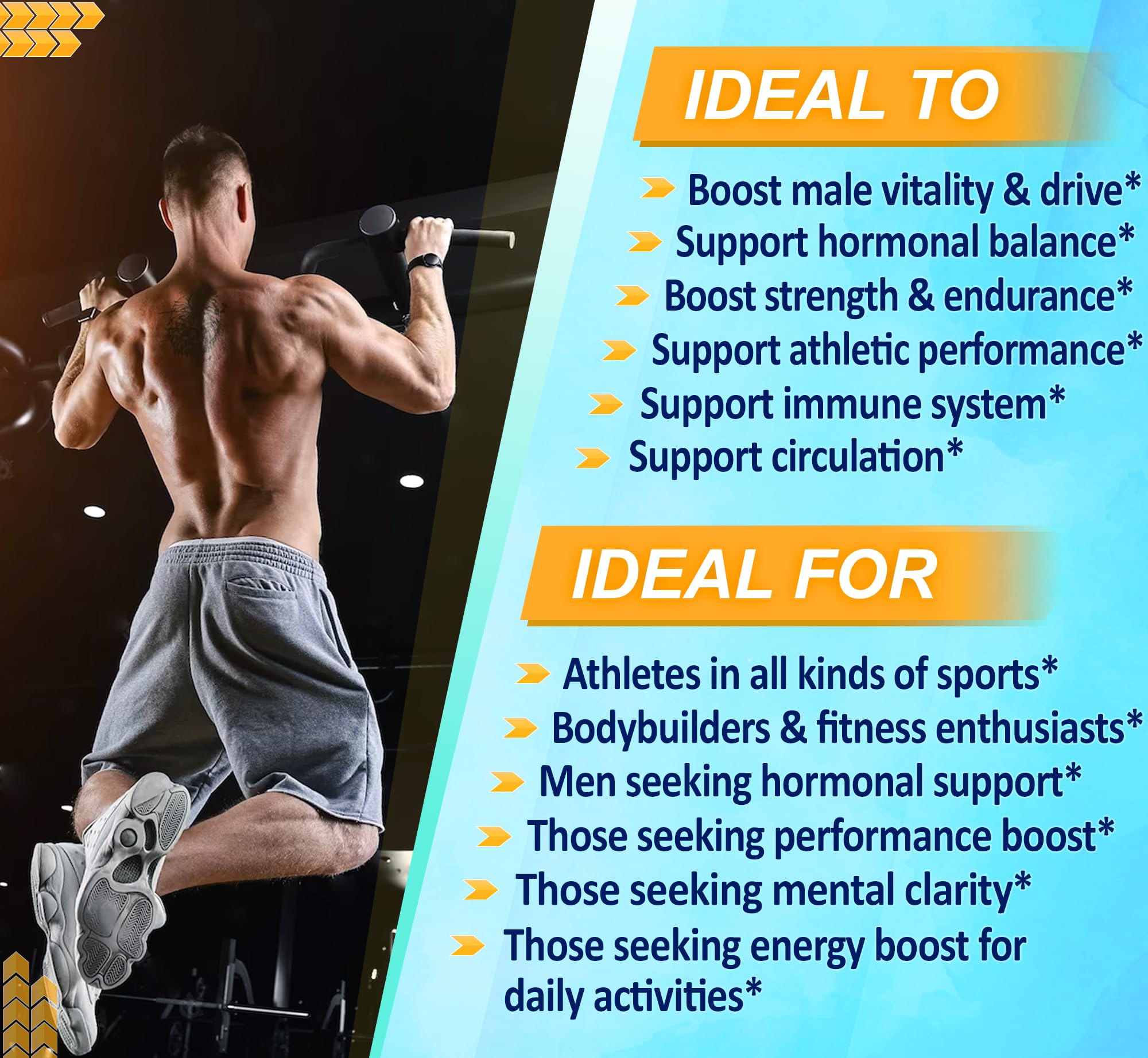 VEGATOT 6 in 1 High Strength Turkesterone 15500 mg Concentrated Extract with Maca Root Fenugreek Tribulus Boost Energy Stamina 3-Month Supply (60 Count (Pack of 1))