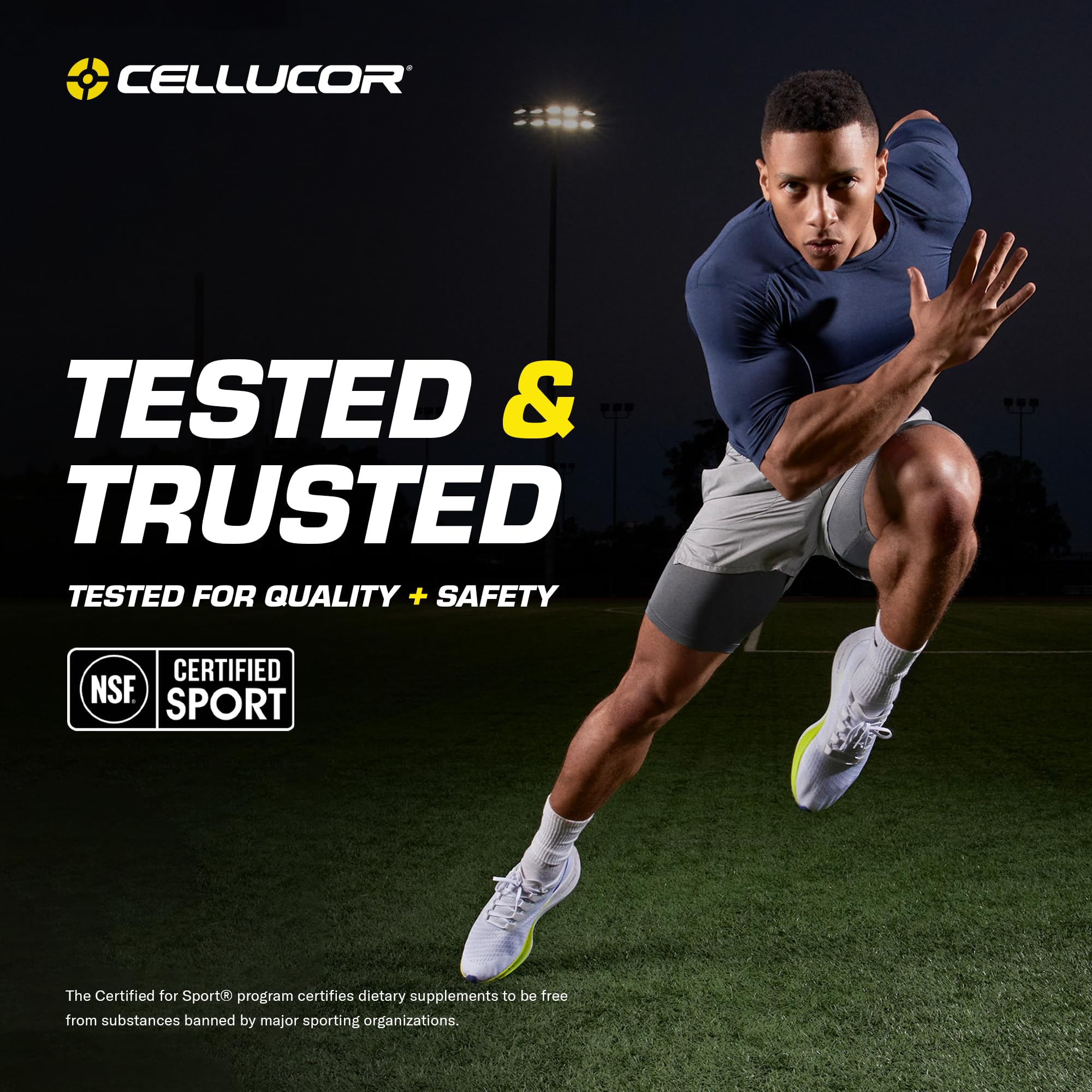 Cellucor BCAA Sport, BCAA Powder Sports Drink for Hydration & Recovery, Cherry Limeade, 30 Servings