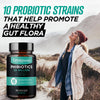 High Potency Probiotics 10 Strains – 30 Billion CFUs – [30 Vegan Capsules] Digestive Health Supplement for Men & Women – Shelf-Stable Lactobacillus Acidophilus Bifidobacterium – Immune Support